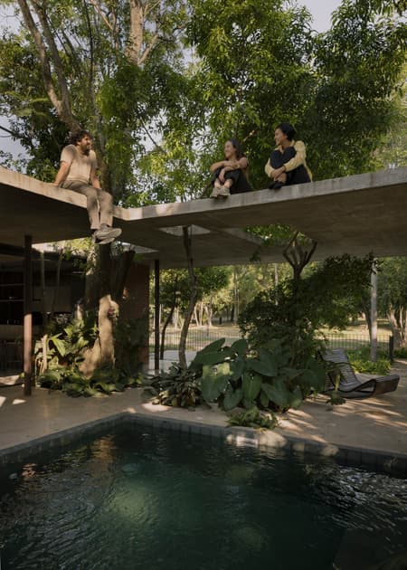 A Forest in the House